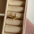 Starfish